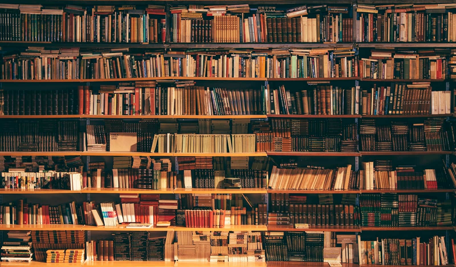 Floor-to-ceiling shelves of well-worn books